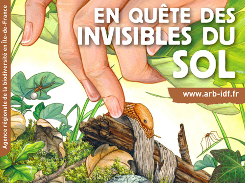 En quête des invisibles du sol (2018)