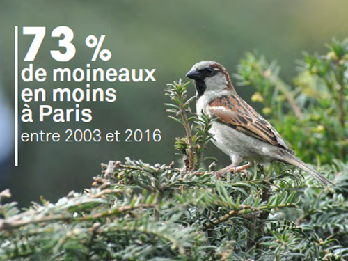La biodiversité en Île-de-France : Chiffres clés (2018)