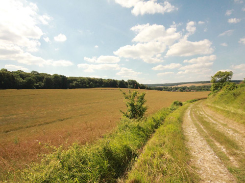 Mobiliser la biodiversité en milieu agricole