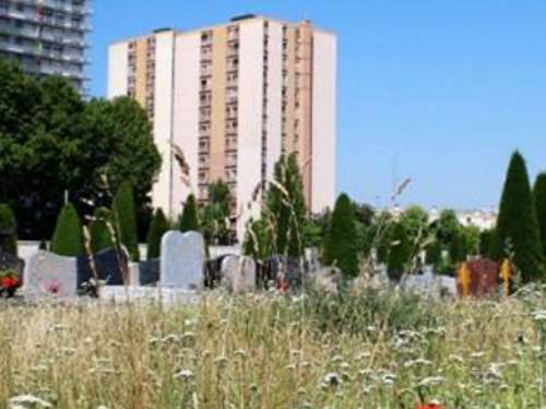 Suivi des interactions plantes-pollinisateurs dans les cimetières franciliens