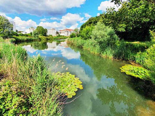 Les solutions fondées sur la nature en Île-de-France
