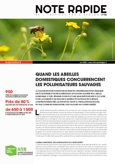 Quand les abeilles domestiques concurrencent les pollinisateurs sauvages