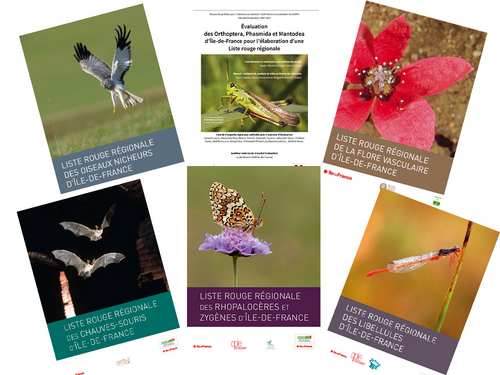 Conférence publique "Les Listes rouges : quels intérêts pour la préservation de la biodiversité en Île-de-France ?"
