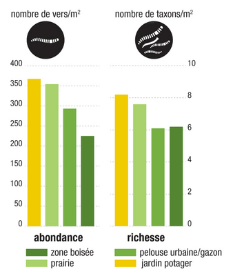 Le lombric, indicateur et auxiliaire de la qualité des sols franciliens -  ARB